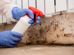 Best Real Estate Mold Inspection  in Phenix City, AL